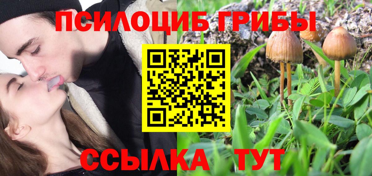 Псилоцибиновые грибы GOLDEN TEACHER Гулькевичи